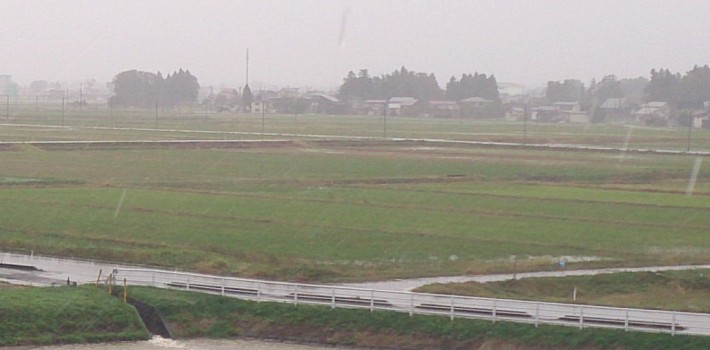 台風21号の影響