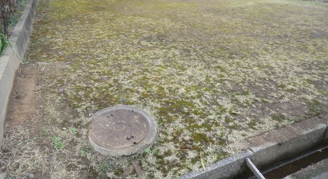 妙高市の土地