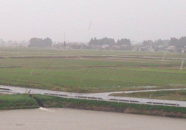 台風２１号の影響